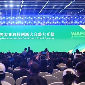 2024国产精品：新一代产品发布会即将举行，聚焦科技创新与可持续发展趋势