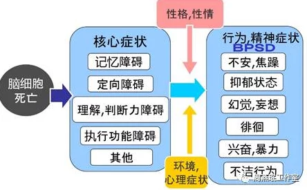 炸精病楝1-7：深入分析这一现象背后的心理机制与社会影响，探讨其对个体和群体行为的潜在影响