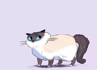 简隋英夹猫尾巴：探讨人类和动物之间的情感互动及其心理影响的现象分析