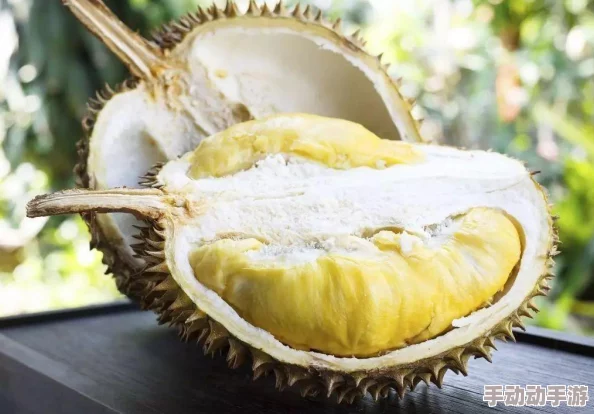 榴莲秋葵丝瓜香蕉18款：探讨热带水果在现代饮食中的营养价值与健康益处的研究分析