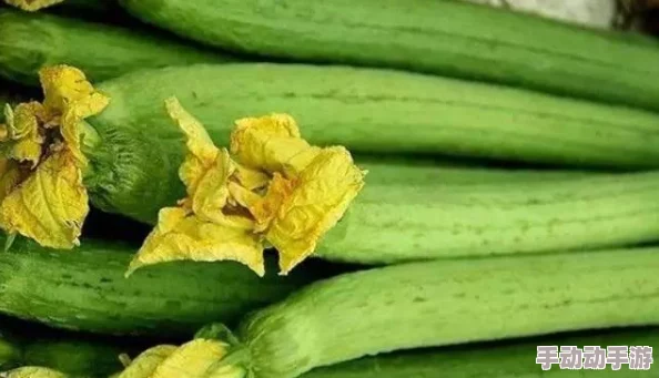 榴莲秋葵丝瓜香蕉18款：探讨热带水果在现代饮食中的营养价值与健康益处的研究分析