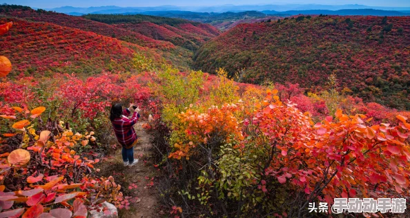 桃源洞口已是溪水,网友纷纷表示:这片美景让人心旷神怡,仿佛置身于世外桃源,真希望能亲自去感受一下 桃源洞口已是溪水,网友纷纷表示:这片美景让人心旷神怡,仿佛置身于世外桃源,真希望能亲自去感受一下