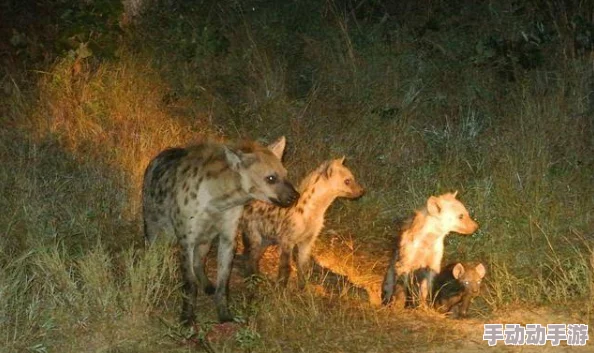 萤被丘丘人抓去繁衍后代，这一事件引发了关于异种生物交配与生态平衡的广泛讨论和关注