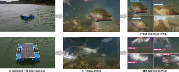 精准捕捉策略：揭秘鱼类生态习性，直击其生存弱点——高效捕鱼与智慧生存的启示录