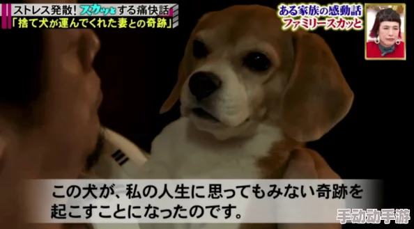 日本mindup狗狗意外发现竟能预测主人情绪,科学家震惊其潜在智能水平! 日本mindup狗狗意外发现竟能预测主人情绪,科学家震惊其潜在智能水平!