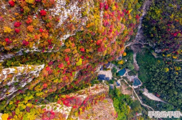 心动小镇烹饪食谱全面指南：解锁美味佳肴的必看秘籍与技巧