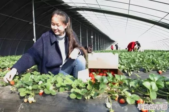 草莓视频高潮:最新动态揭示用户体验提升与内容多样化的趋势,吸引更多观众关注和参与 草莓视频高潮:最新动态揭示用户体验提升与内容多样化的趋势,吸引更多观众关注和参与