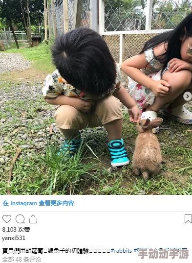 啊∽你tm别 了我的小兔兔:关于网络语言对年轻人情感表达影响的研究与分析 啊∽你tm别 了我的小兔兔:关于网络语言对年轻人情感表达影响的研究与分析