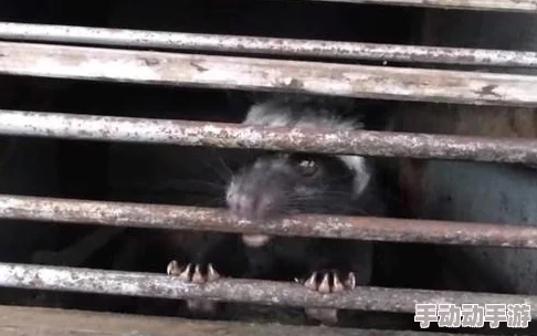 迷你世界游戏中如何给商人喂食及在手机版中吃食物的方法