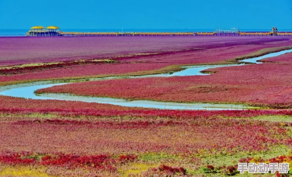 亚洲精品国产高清嫩草影院网友推荐这里有丰富的影视资源画质清晰更新迅速非常适合喜欢追剧的小伙伴们快来体验吧 亚洲精品国产高清嫩草影院网友推荐这里有丰富的影视资源画质清晰更新迅速非常适合喜欢追剧的小伙伴们快来体验吧