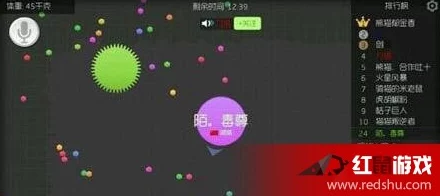 球球大作战攻略:单人单刷上榜绝技,死角围杀术高效技巧深度分享 球球大作战攻略:单人单刷上榜绝技,死角围杀术高效技巧深度分享