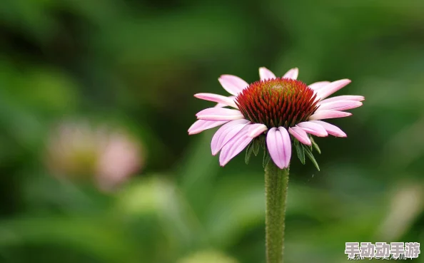 在线观看黄a大片爽爽影院免费不如选择健康生活方式享受美好人生 在线观看黄a大片爽爽影院免费不如选择健康生活方式享受美好人生