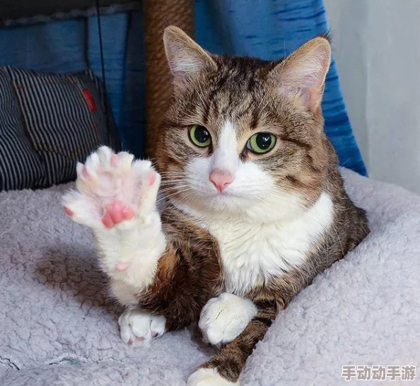 刺激仑乱视频 网友推荐这部影片情节紧凑画面精美让人欲罢不能绝对值得一看不容错过的精彩内容 刺激仑乱视频 网友推荐这部影片情节紧凑画面精美让人欲罢不能绝对值得一看不容错过的精彩内容