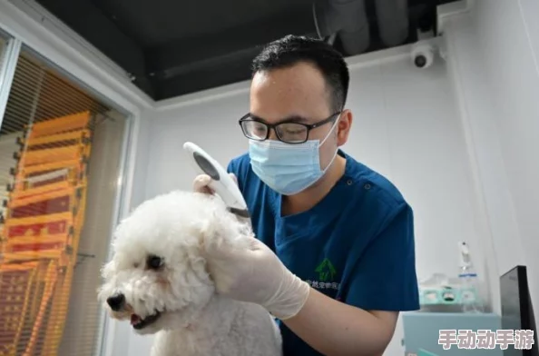 亚洲人护士毛茸茸最近在网络上走红,成为新晋网红宠物 亚洲人护士毛茸茸最近在网络上走红,成为新晋网红宠物