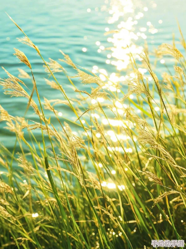 潮湿by春日负暄心怀希望勇敢追梦每一天都是新的开始 潮湿by春日负暄心怀希望勇敢追梦每一天都是新的开始