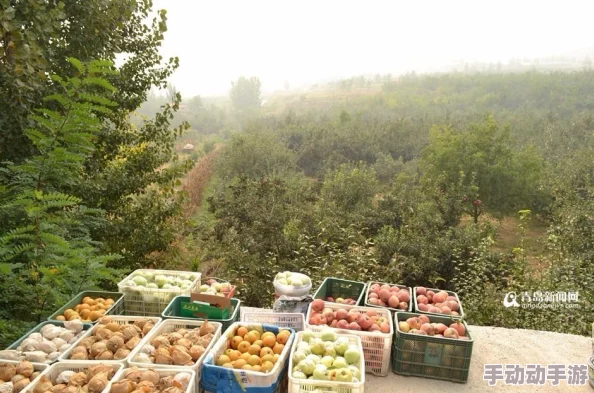 番茄的马甲小说每一天都是新的开始相信自己勇敢追梦 番茄的马甲小说每一天都是新的开始相信自己勇敢追梦