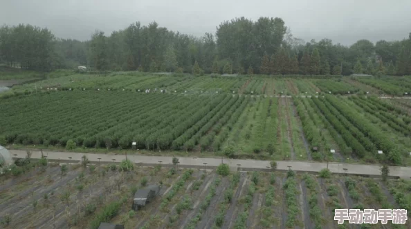 波多野结衣侵犯走近中医传承智慧与健康共融助力身心和谐 波多野结衣侵犯走近中医传承智慧与健康共融助力身心和谐