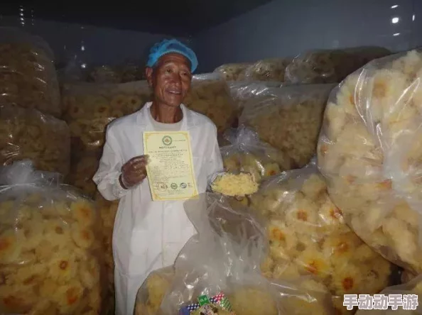 梦的第七章新手开局阵容搭配推荐,惊喜消息:解锁最强初期组合攻略! 梦的第七章新手开局阵容搭配推荐,惊喜消息:解锁最强初期组合攻略!