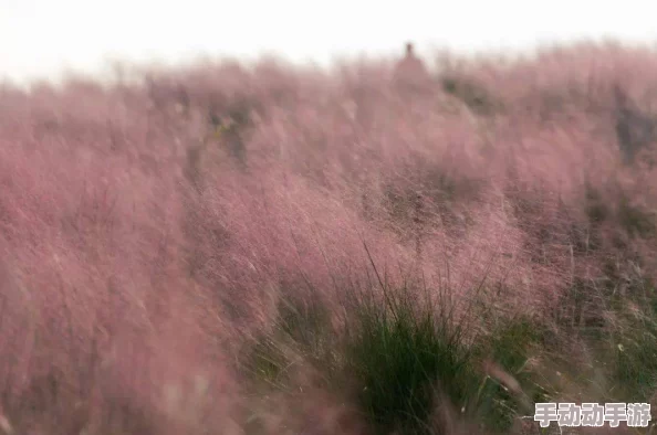 乱子伦小说500篇积极向上让我们在故事中感受生活的美好与希望 乱子伦小说500篇积极向上让我们在故事中感受生活的美好与希望