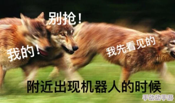 免费又黄又刺激好看的小说蜜熊的音乐奇旅（国语版）勇敢追梦让心灵自由飞翔