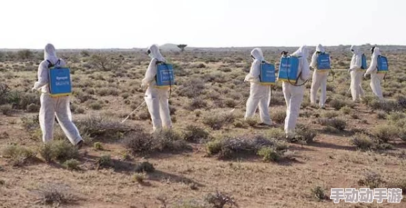 苏止沙漠袭击勇敢面对挑战团结合作共创美好未来 苏止沙漠袭击勇敢面对挑战团结合作共创美好未来