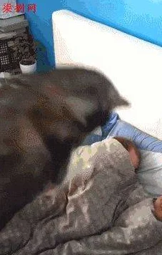 摸下面动态图近日网络上流传一组搞笑动态图引发热议网友纷纷模仿分享 摸下面动态图近日网络上流传一组搞笑动态图引发热议网友纷纷模仿分享