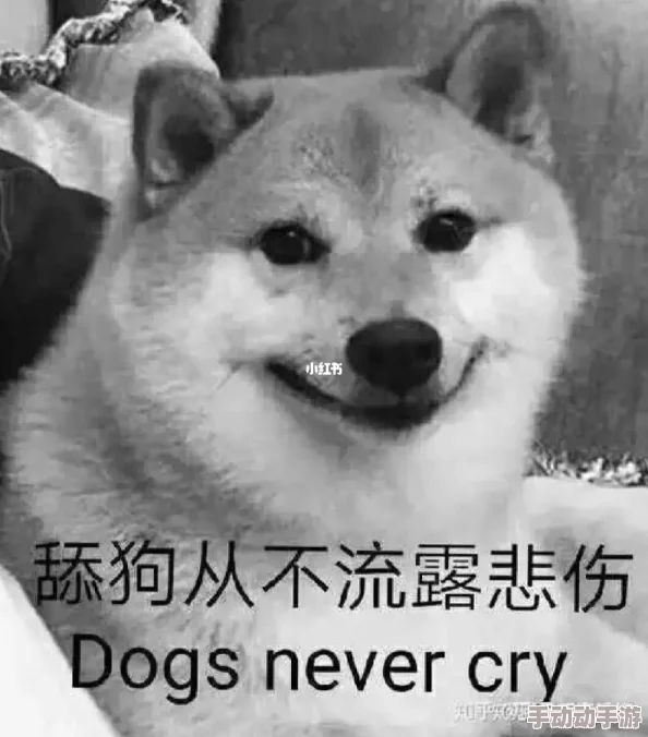 六级片舔狗我不当了我要追校草勇敢追梦相信自己终会收获幸福 六级片舔狗我不当了我要追校草勇敢追梦相信自己终会收获幸福