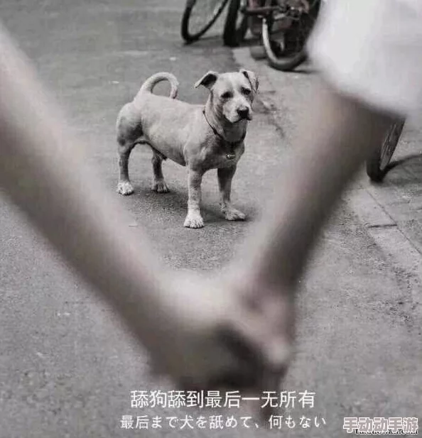 六级片舔狗我不当了我要追校草勇敢追梦相信自己终会收获幸福 六级片舔狗我不当了我要追校草勇敢追梦相信自己终会收获幸福