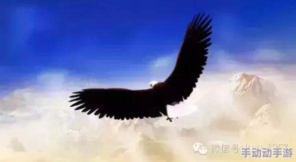 小柔h虎啸苍穹勇敢追梦展翅高飞创造美好未来 小柔h虎啸苍穹勇敢追梦展翅高飞创造美好未来