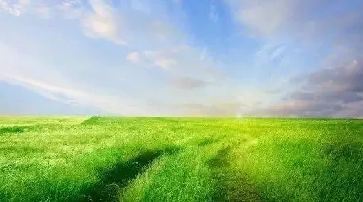 男生肌肌桶女人肌肌免费!健康生活从锻炼开始积极向上追求美好人生 男生肌肌桶女人肌肌免费!健康生活从锻炼开始积极向上追求美好人生