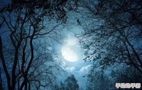 月光下念你欲望的果实追求梦想勇敢前行相信自己成就美好未来 月光下念你欲望的果实追求梦想勇敢前行相信自己成就美好未来