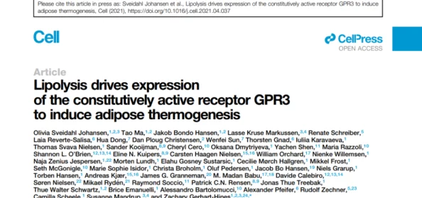 揉小核近日科学家发现揉小核对细胞修复有积极影响,可能为再生医学提供新思路 揉小核近日科学家发现揉小核对细胞修复有积极影响,可能为再生医学提供新思路