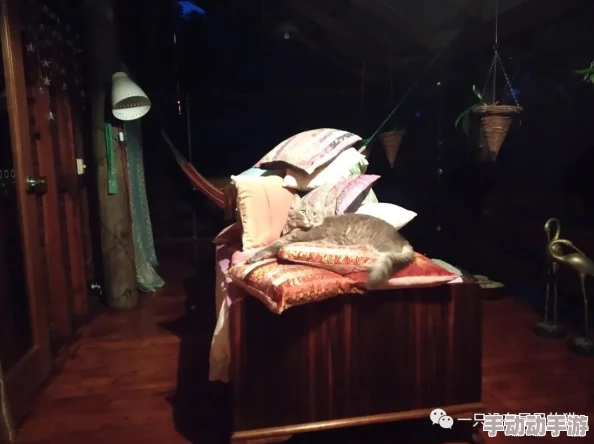 武松新传月代头布丁勇敢追梦每一步都值得珍惜与努力 武松新传月代头布丁勇敢追梦每一步都值得珍惜与努力