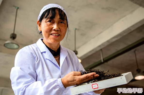 黄色软件免费安装安装包下载中进度50%请耐心等待 黄色软件免费安装安装包下载中进度50%请耐心等待