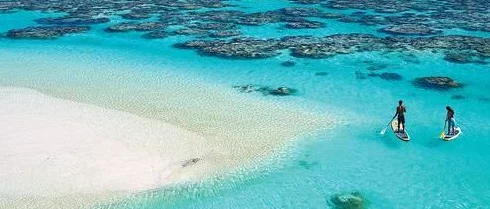 乐缤纷庄园十月震撼新版本发布:最全福利大汇总,揭秘隐藏惊喜好礼等你来领! 乐缤纷庄园十月震撼新版本发布:最全福利大汇总,揭秘隐藏惊喜好礼等你来领!