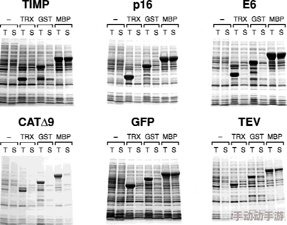 肚子里每天都被灌满np实验体状态稳定已持续观察72小时各项指标正常 肚子里每天都被灌满np实验体状态稳定已持续观察72小时各项指标正常
