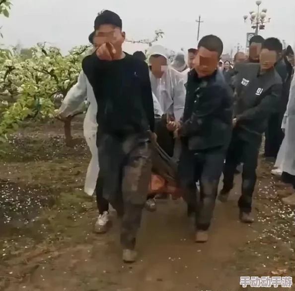 2024惊喜盘点:热门狼吃羊游戏大推荐,全新好玩手游来袭,不容错过! 2024惊喜盘点:热门狼吃羊游戏大推荐,全新好玩手游来袭,不容错过!