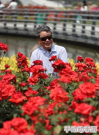 浮生陌主角突破瓶颈修为大涨踏入全新秘境 浮生陌主角突破瓶颈修为大涨踏入全新秘境