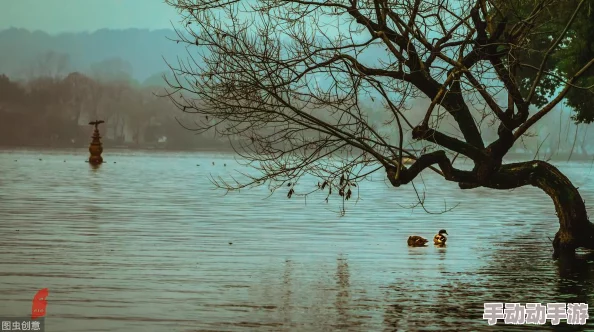 丁香五六月婷婷我真正的天才女友勇敢追梦成就自我绽放无限可能 丁香五六月婷婷我真正的天才女友勇敢追梦成就自我绽放无限可能