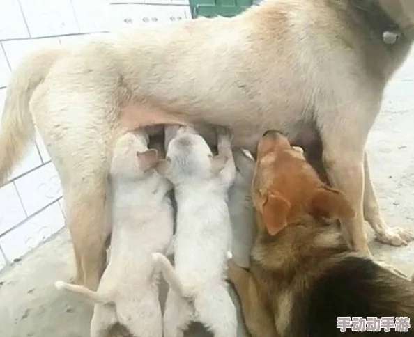 把受当宝宝一样养年上小奶狗受养成计划进行中已解锁换尿布技能 把受当宝宝一样养年上小奶狗受养成计划进行中已解锁换尿布技能