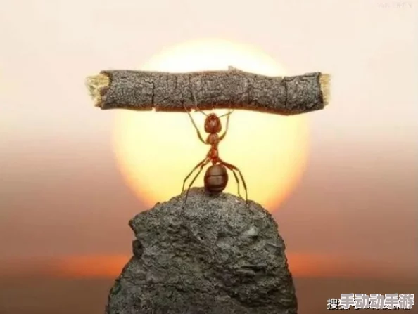 信息素说我们不可能txt替嫁当寡妇,我赢麻了勇敢追求幸福,人生总会有意外的惊喜 信息素说我们不可能txt替嫁当寡妇,我赢麻了勇敢追求幸福,人生总会有意外的惊喜