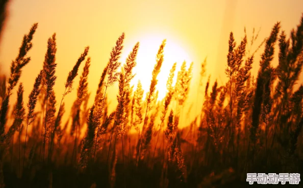 姜罚小说鹤舞邙山心怀梦想勇敢追逐未来希望 姜罚小说鹤舞邙山心怀梦想勇敢追逐未来希望