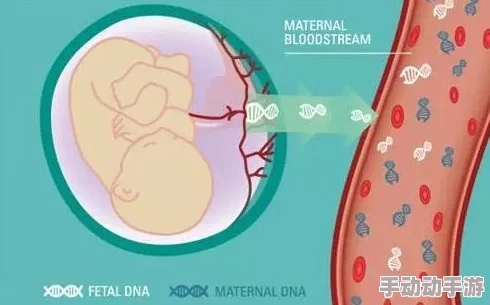 如果我怀了我儿子的孩子怎么办DNA检测结果显示孩子父亲另有其人