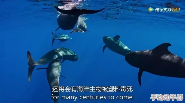 国外呦呦最新研究发现海洋塑料污染对海洋生物的影响比预期更严重
