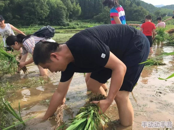 情侣插秧的一百种姿势下载APP田园恋爱模拟体验全新上线版本更新优化体验