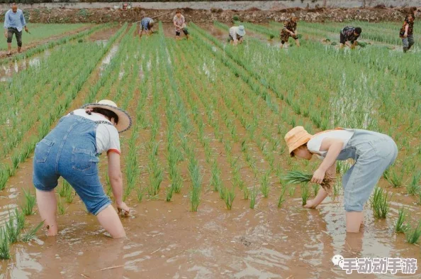 情侣插秧的一百种姿势下载APP田园恋爱模拟体验全新上线版本更新优化体验