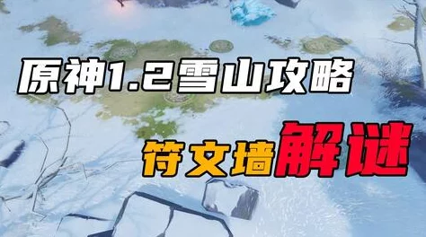 娇弱作精凭武力值爆红勇敢追梦展现自我价值积极向上成就未来