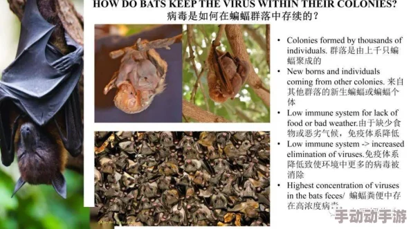 堕落玫瑰蝙蝠别墅让我们珍惜自然与生命，共同守护美好家园