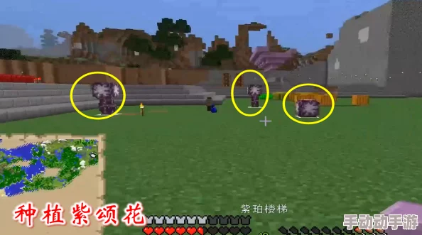 我的世界：紫影花高效种植技巧与最新热门攻略分享
