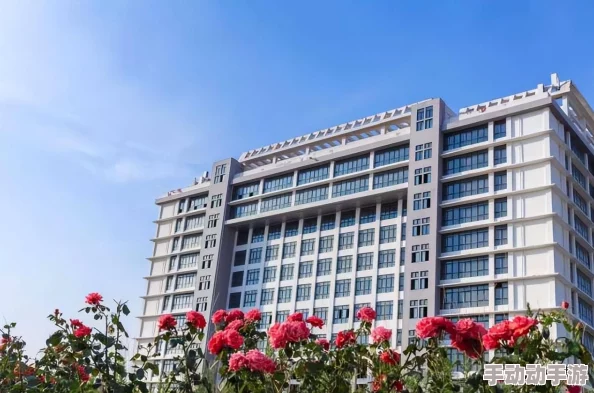 永恒纪元:2024热门职业全面介绍与深度分析 永恒纪元:2024热门职业全面介绍与深度分析